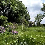 'bienenhaeuschen' Vakantiehuis Liesenich