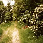 'bienenhaeuschen' Vakantiehuis *