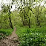 'bienenhaeuschen' Liesenich