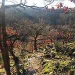 'bienenhaeuschen' Vakantiehuis Liesenich