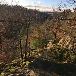'bienenhaeuschen' * Liesenich