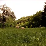 Vakantiehuis 'bienenhaeuschen'