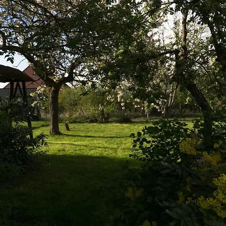 Vakantiehuis 'bienenhaeuschen'