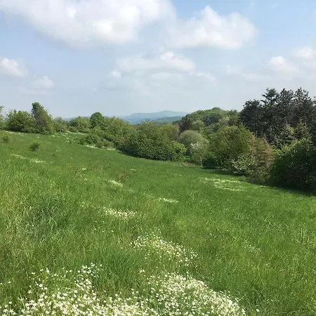 'bienenhaeuschen' *