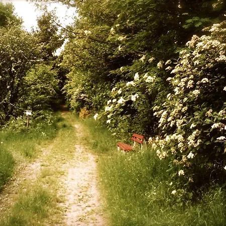 'bienenhaeuschen' Vakantiehuis *