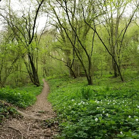 'bienenhaeuschen' Liesenich