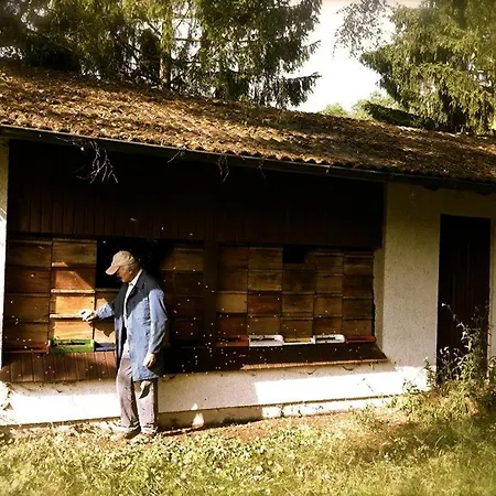 Vakantiehuis 'bienenhaeuschen' Liesenich